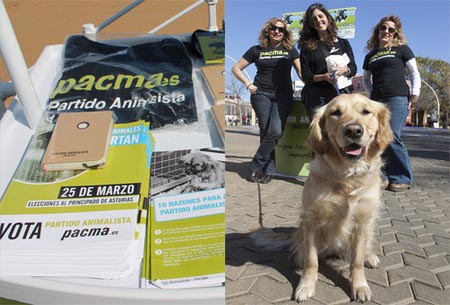 Andalucía y Asturias, 15 días de campaña por los animales
