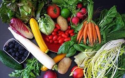 PACMA apoya a la familia de Oiartzun en su lucha por un menú vegano escolar