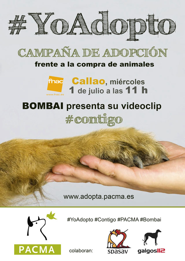Madrid: Presentación del video clip "Contigo" de la campaña Adopta!