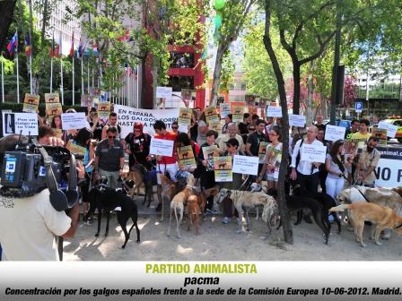 Manifestaciones en favor de los galgos maltratados por cazadores