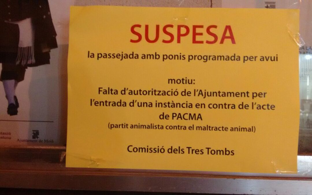 PACMA consigue que el Ayto. de Moià (Barcelona) suspenda el paseo con ponis