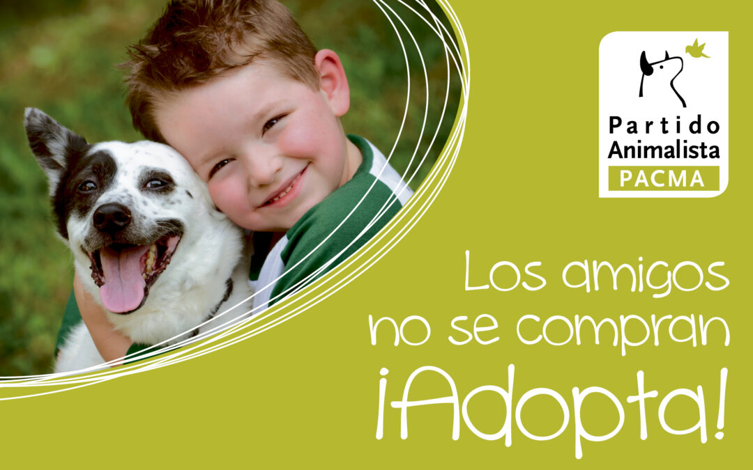 PACMA lanza nuevamente esta Navidad la campaña «No compres, Adopta!»