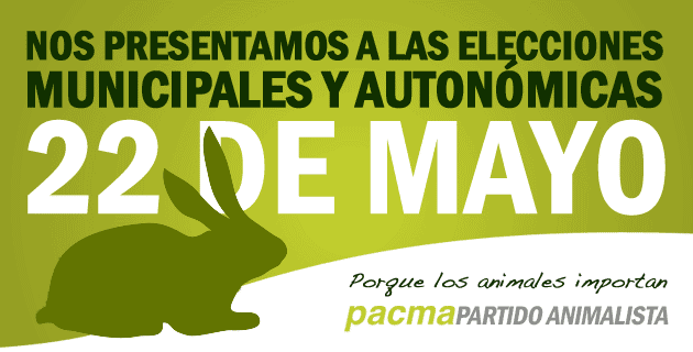 PACMA necesita candidatos/as para las elecciones municipales y autonómicas
