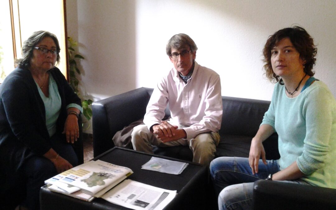PACMA pide al Ayto. de Náquera que reanude el Plan de Esterilización Felina