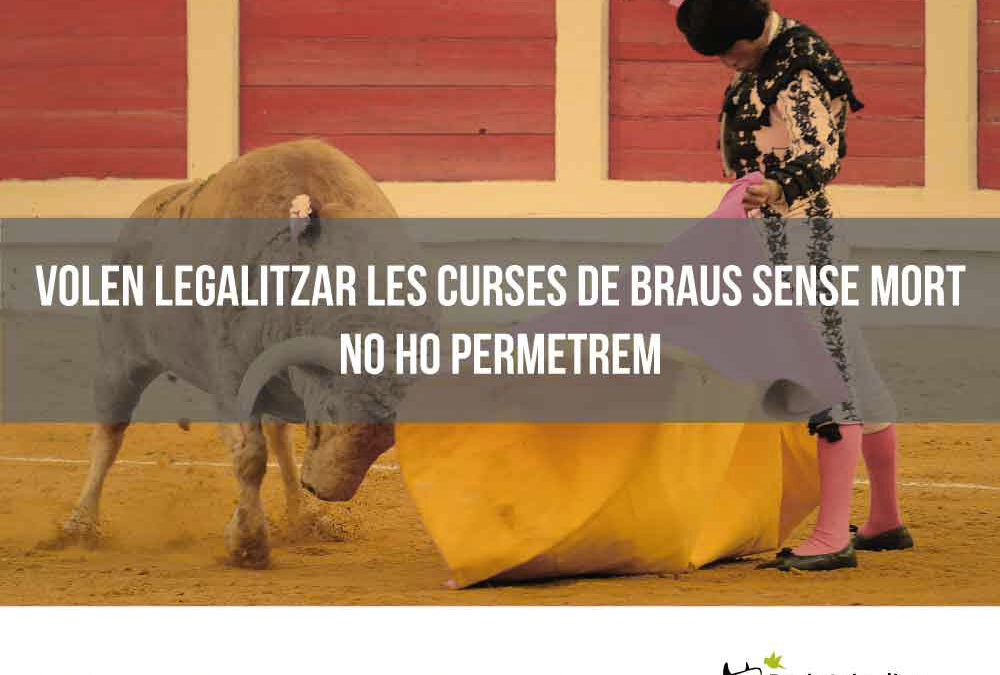 PACMA rechaza la legalización de las tientas taurinas