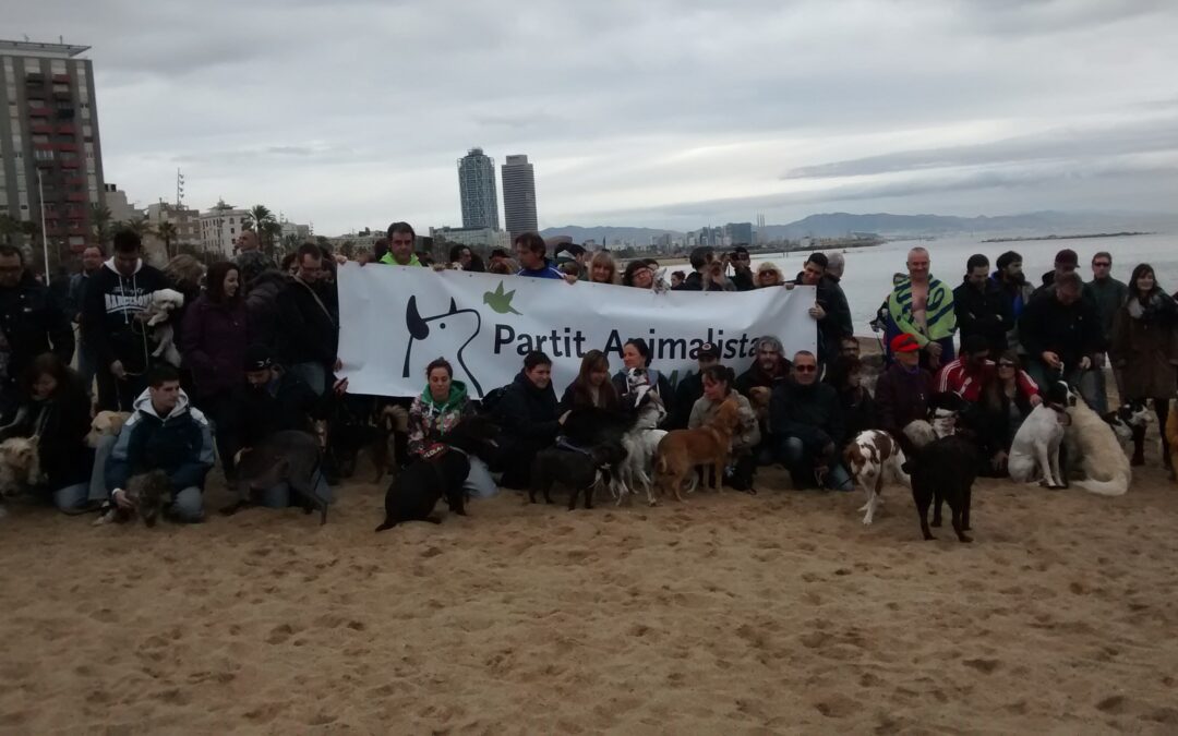PACMA reclama en Barcelona una playa para todos