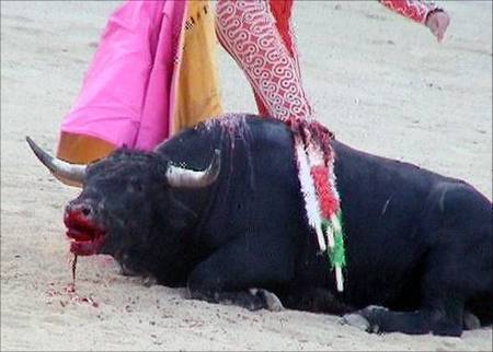 Pedimos al Ayuntamiento de León el coste de las corridas de toros de las fiestas