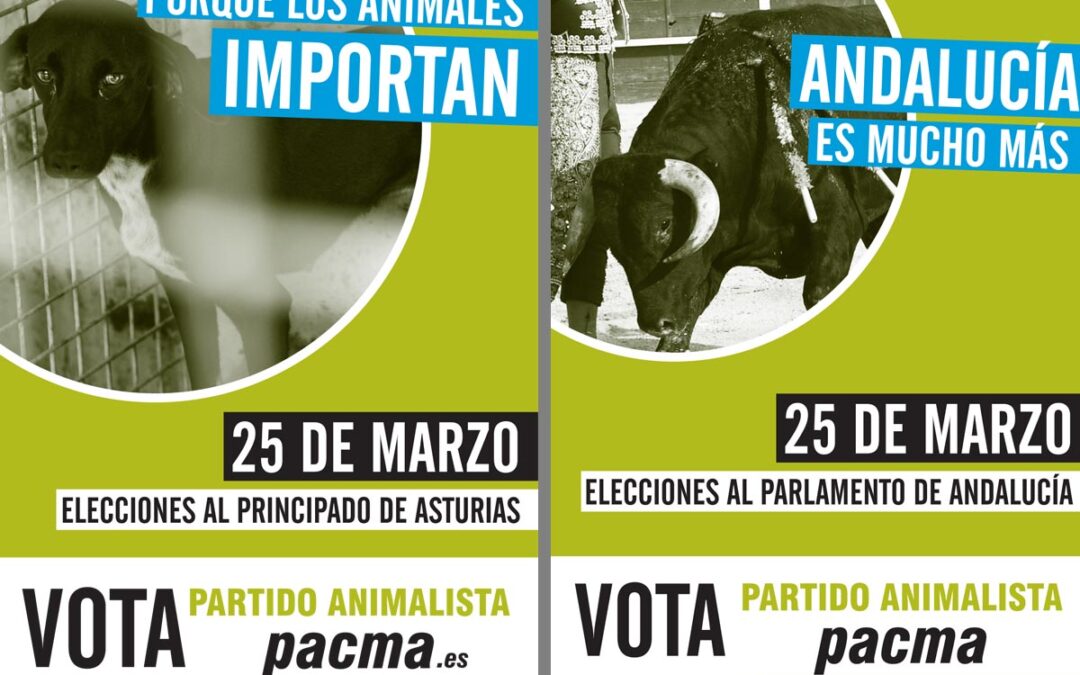 Porque los animales importan. ¡El 25M vota PACMA!