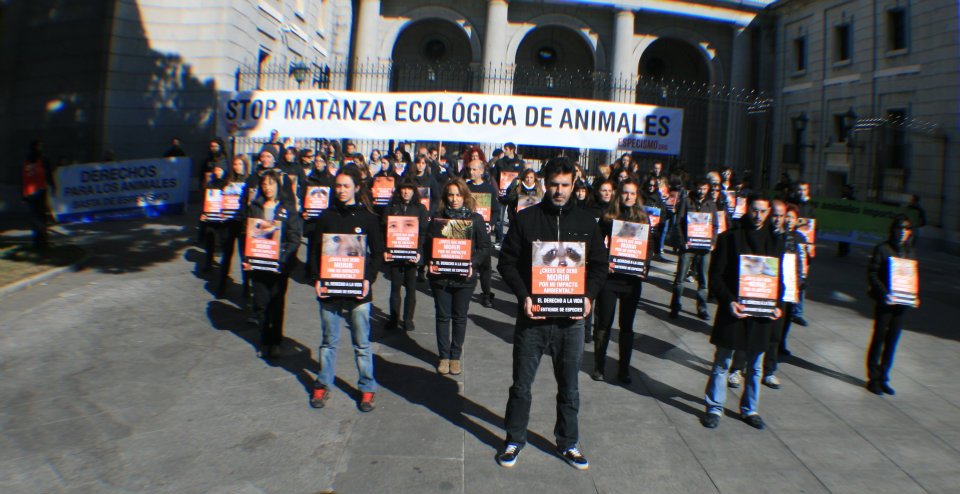 Protesta contra el exterminio de miles de animales
