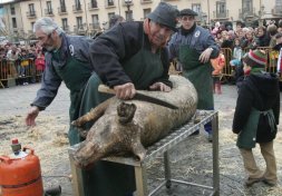 Se reabre la investigación por la matanza del cerdo en Palencia