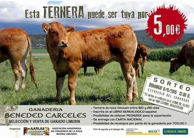 PACMA paraliza el sorteo de un ternero en la Expo Feria Sobrarbe (Huesca)