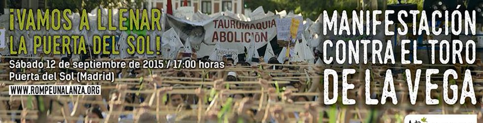 Manifestacion Toro de la Vega 2015