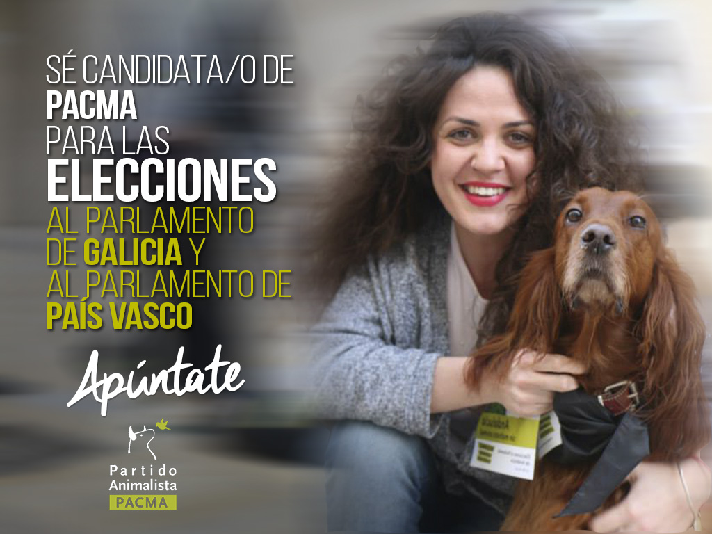 Candidatos-Elecciones-Gallegas-y-Vascas4.jpg