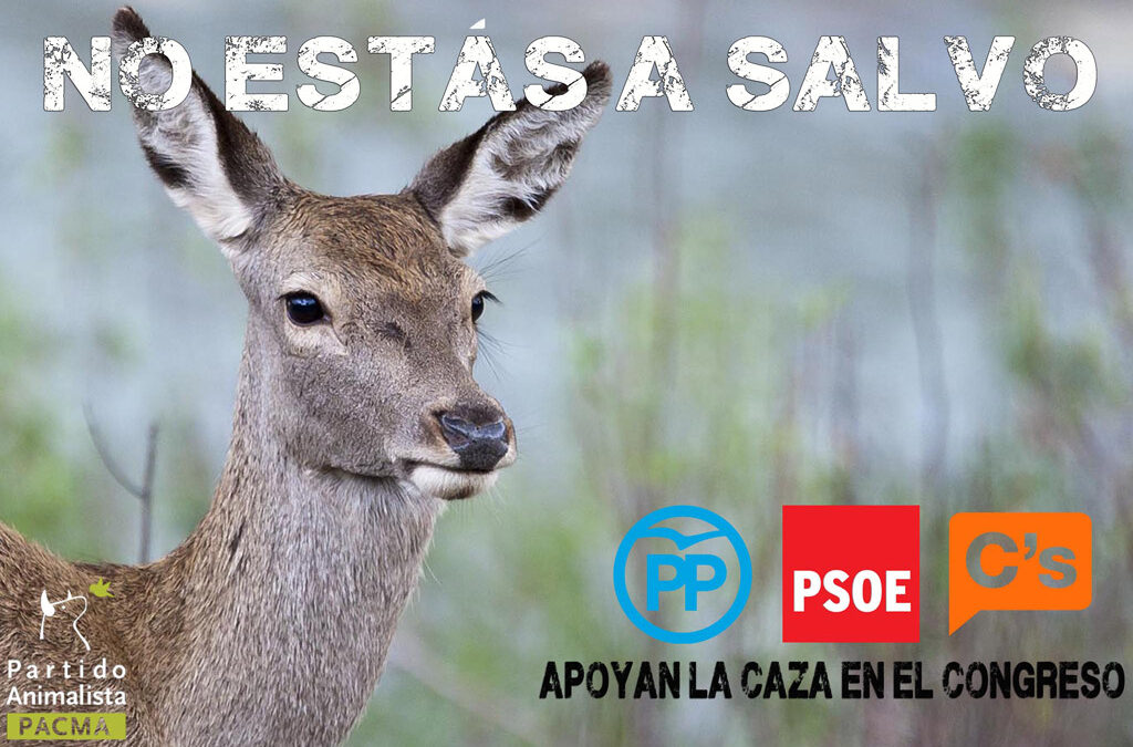 PP, PSOE y C´s promueven la caza desde el Congreso