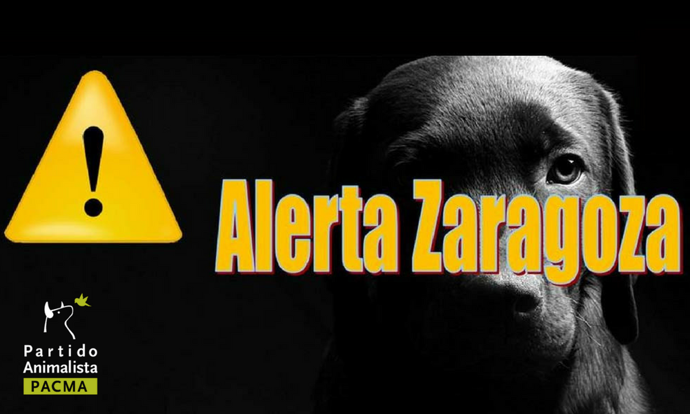 Alerta Zaragoza: un año después se siguen denunciando casos de envenenamiento