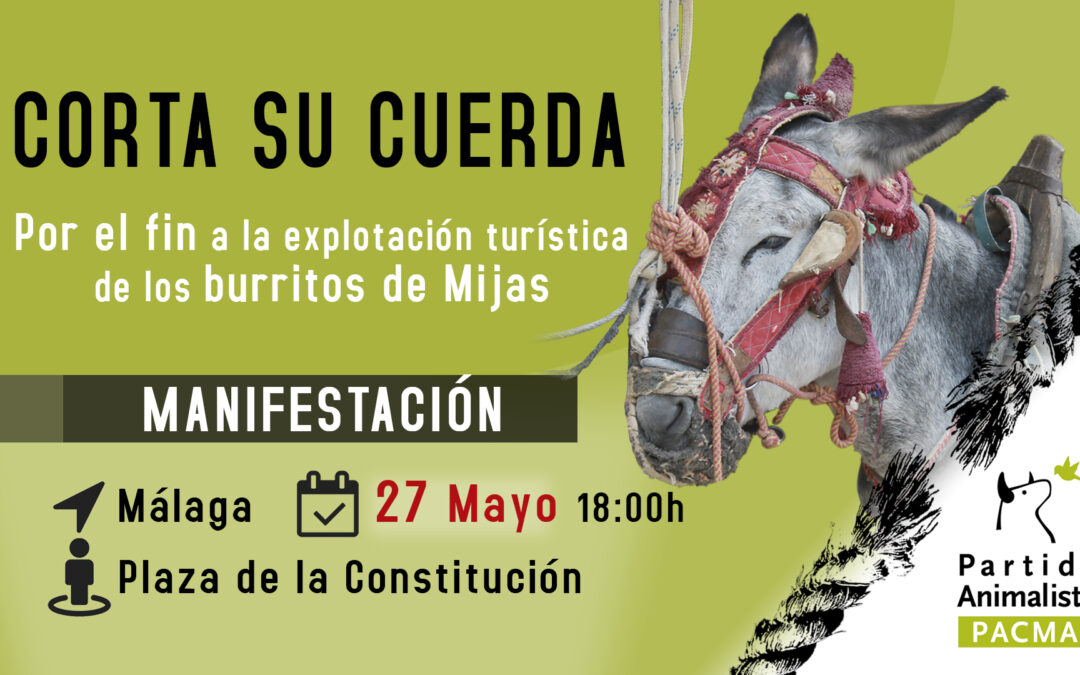 Concentración en Málaga contra la explotación turística de animales