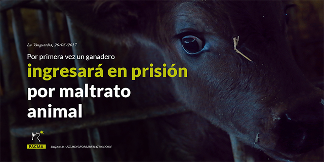 Por primera vez un ganadero ingresará en prisión por maltrato animal