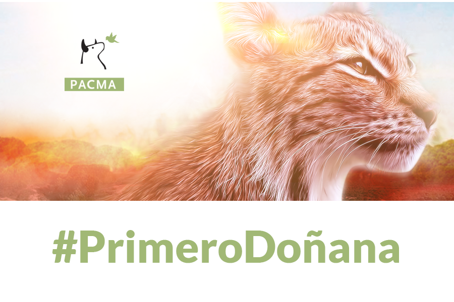 PACMA pide al gobierno que priorice la reforestación de Doñana