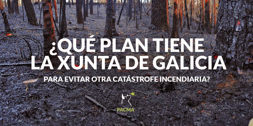 ¿Qué plan tiene la Xunta de Galicia para evitar otra catástrofe incendiaria?