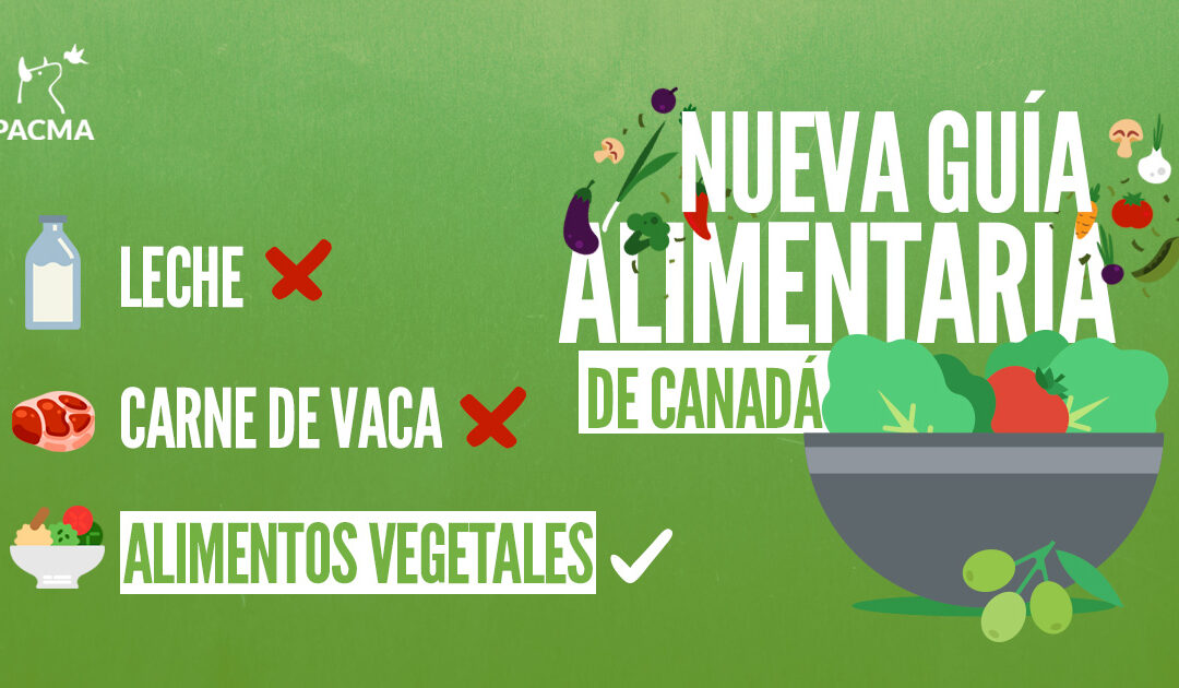 Canadá ya no recomienda la leche ni la carne de vaca y sí más vegetales