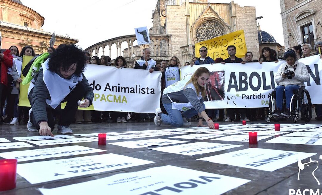 Valencia clama por los 72 animales que serán ejecutados durante las Fallas