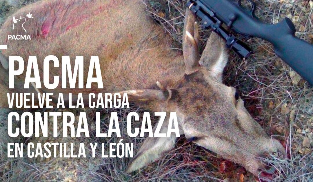 PACMA vuelve a la carga contra la caza en Castilla y León