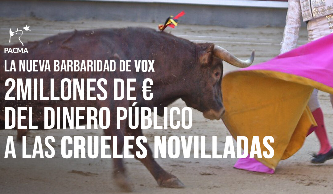 La nueva barbaridad de VOX: 2 millones de euros para novilladas en Andalucía