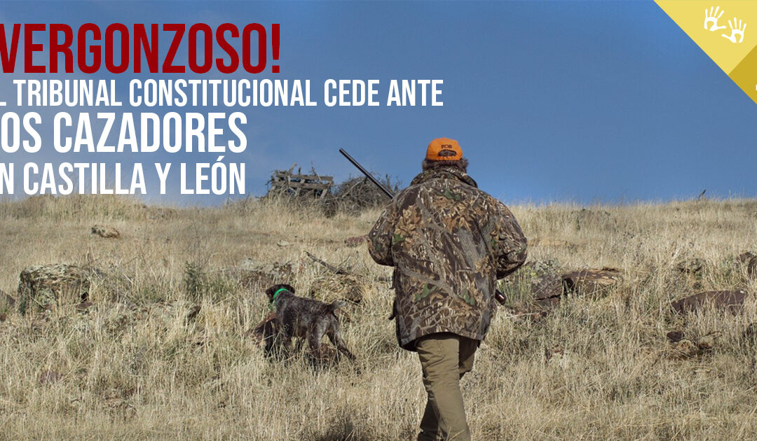 ¡Lamentable! El Tribunal Constitucional da luz verde a los cazadores en Castilla y León