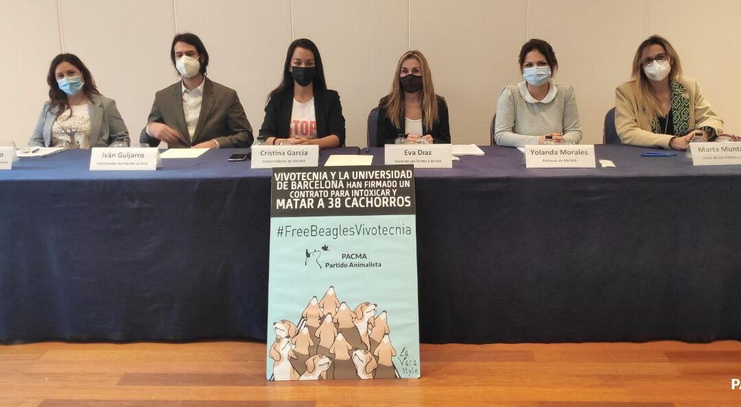 Denunciamos irregularidades judiciales en el caso de los 38 beagles de la Universitat de Barcelona en Vivotecnia y pedimos la recusación de la jueza