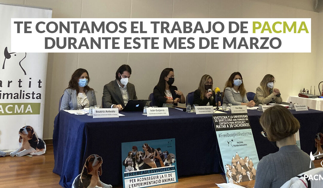 Y todo esto… gracias a ti: nuestro trabajo durante el último mes