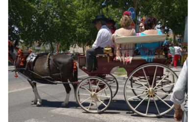 PACMA pide al Ayuntamiento de Sevilla más controles y contundencia para impedir el maltrato a los caballos en la feria