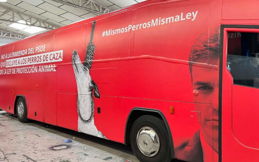 Más de 100 organizaciones impulsamos un autobús que recorre Madrid para exigir al PSOE la retirada de la enmienda a la ley de protección