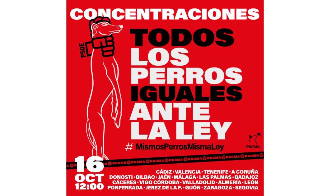 Seguimos luchando por los perros de caza: nuevas concentraciones en 21 ciudades