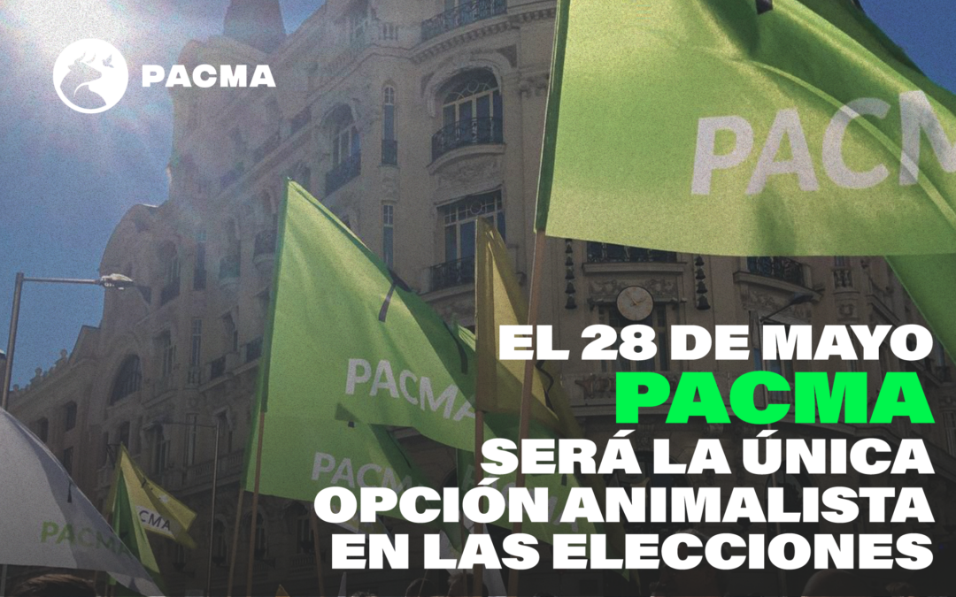 PACMA se presenta a las elecciones municipales y autonómicas del 28 de mayo