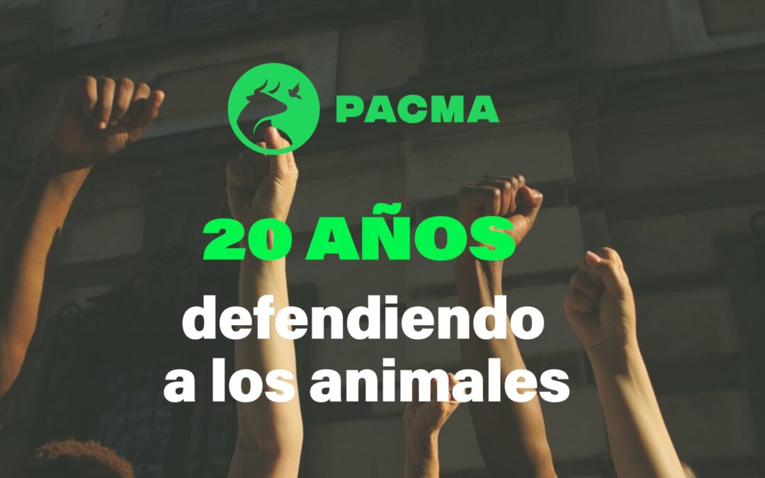 El Partido Animalista PACMA cumple 20 años renovado y con el reto de la representación pública