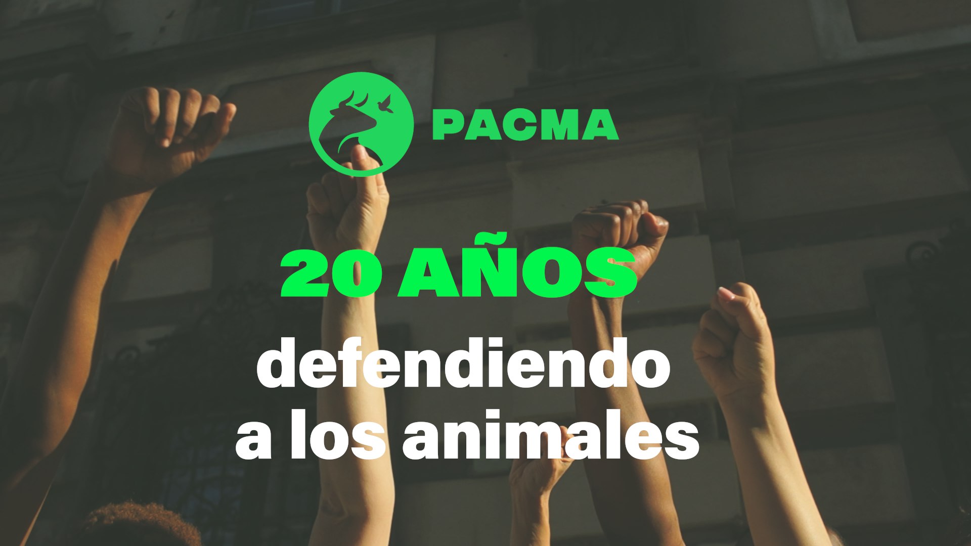 Foto de puños alto. Superpuesto el logo de PACMA y el siguiente texto: 20 años defendiendo a los animales