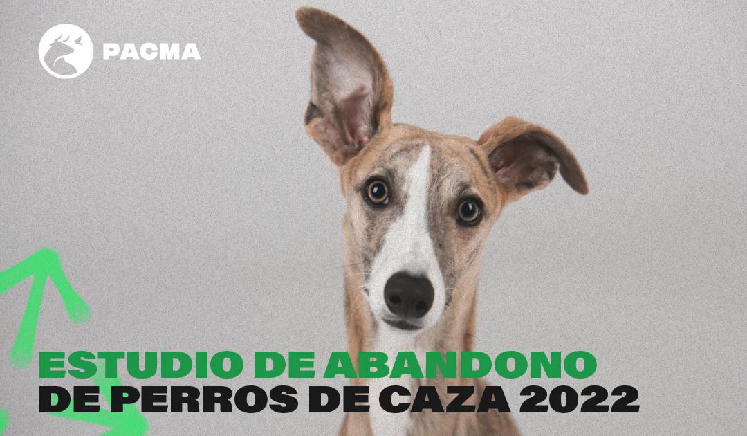 PACMA publica un estudio que cifra en más de 12.000 los perros de caza abandonados durante 2022 en España