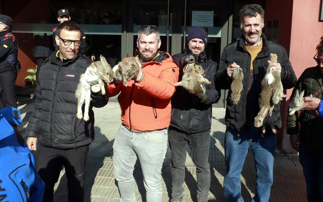 PACMA y Lex Ànima denunciarán por lo penal a los manifestantes que lanzaron conejos vivos como protesta en Lleida