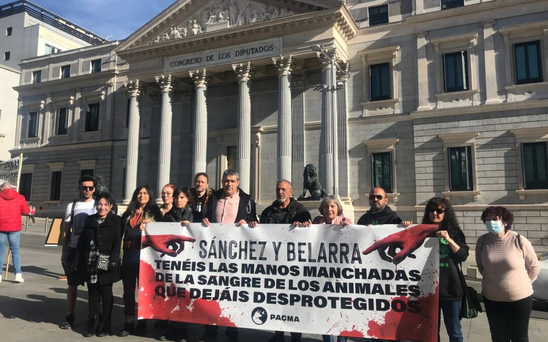 PACMA se concentra al puertas del Congreso acusando a Sánchez y Belarra de tener las manos “manchadas de sangre”