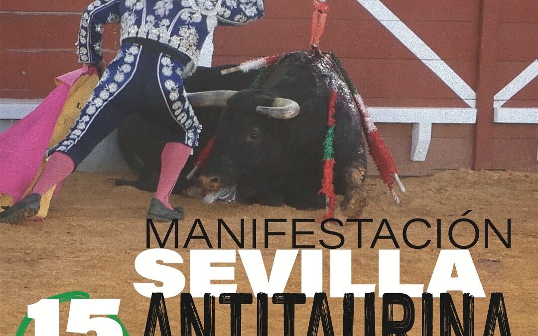 PACMA convoca este sábado su manifestación anual “Sevilla Antitaurina”
