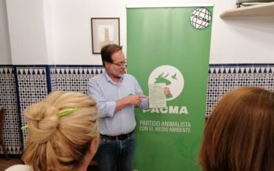 PACMA propone la creación de una red de refugios climáticos en la ciudad de Cádiz