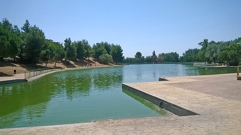 PACMA alerta sobre anzuelos y sedales a puñados en el fondo del lago del Parque de las Comunidades de España, en Parla