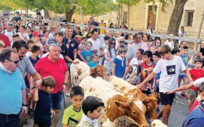 PACMA solicita al Ayuntamiento de Boecillo que cancele los festejos taurinos para menores
