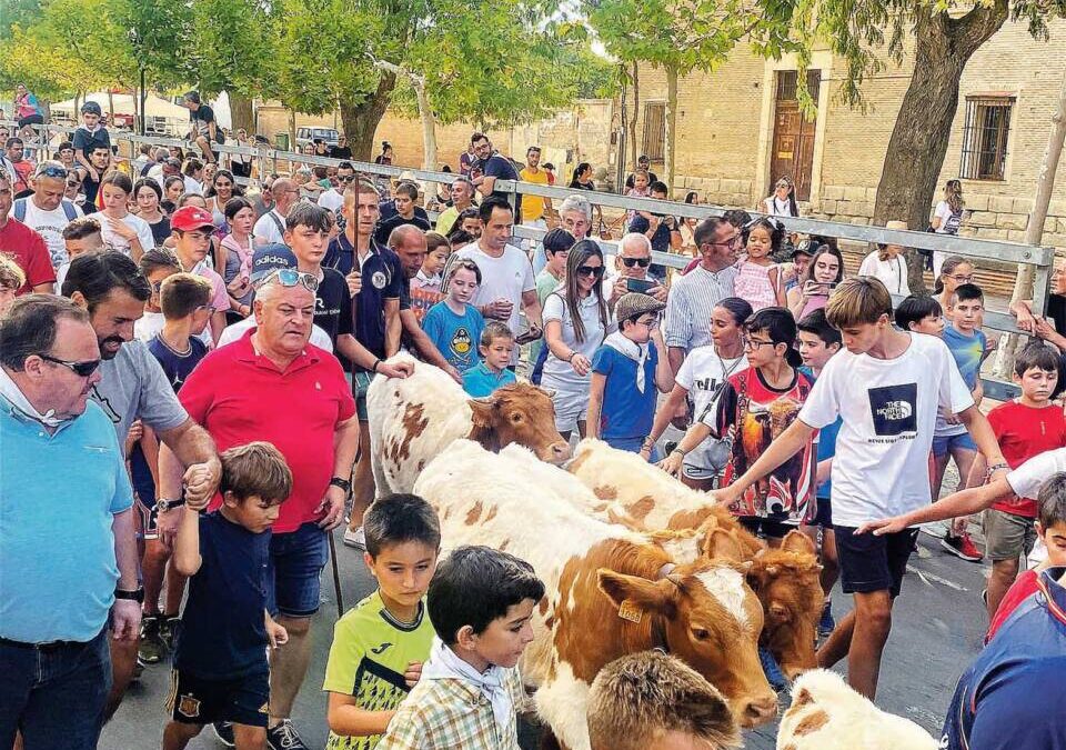 PACMA solicita al Ayuntamiento de Boecillo que cancele los festejos taurinos para menores