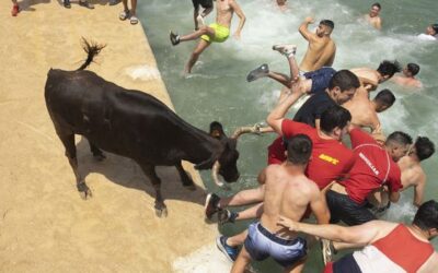 PACMA solicita reunión con el Ayuntamiento de Dénia para abordar la posible abolición de los bous a la mar