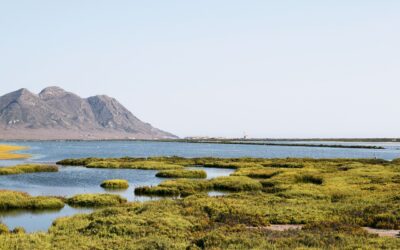 Alertamos de la destrucción inminente del Parque Natural de Cabo de Gata-Níjar
