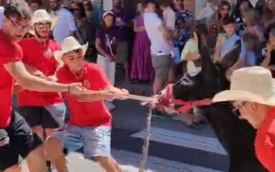 A tortas e insultos con los animales: PACMA denuncia una carrera de burros en Boñar