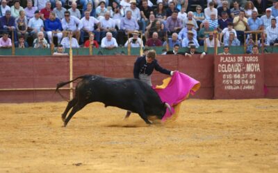 PACMA reprocha al Ayuntamiento de Alcalá la Real que, teniendo la tasa más alta de suicidios de España, se gaste 30.000 € en la muerte y tortura de seis toros