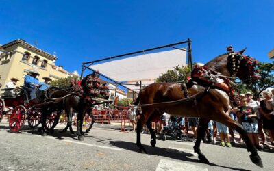 PACMA pide cancelar «Fuengirola a Caballo» tras el desplome de uno este martes