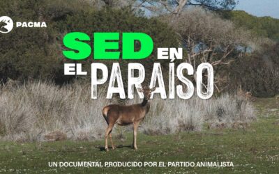 PACMA estrena «Sed en el Paraíso»: un documental sobre el expolio de agua en el Parque Nacional de Doñana